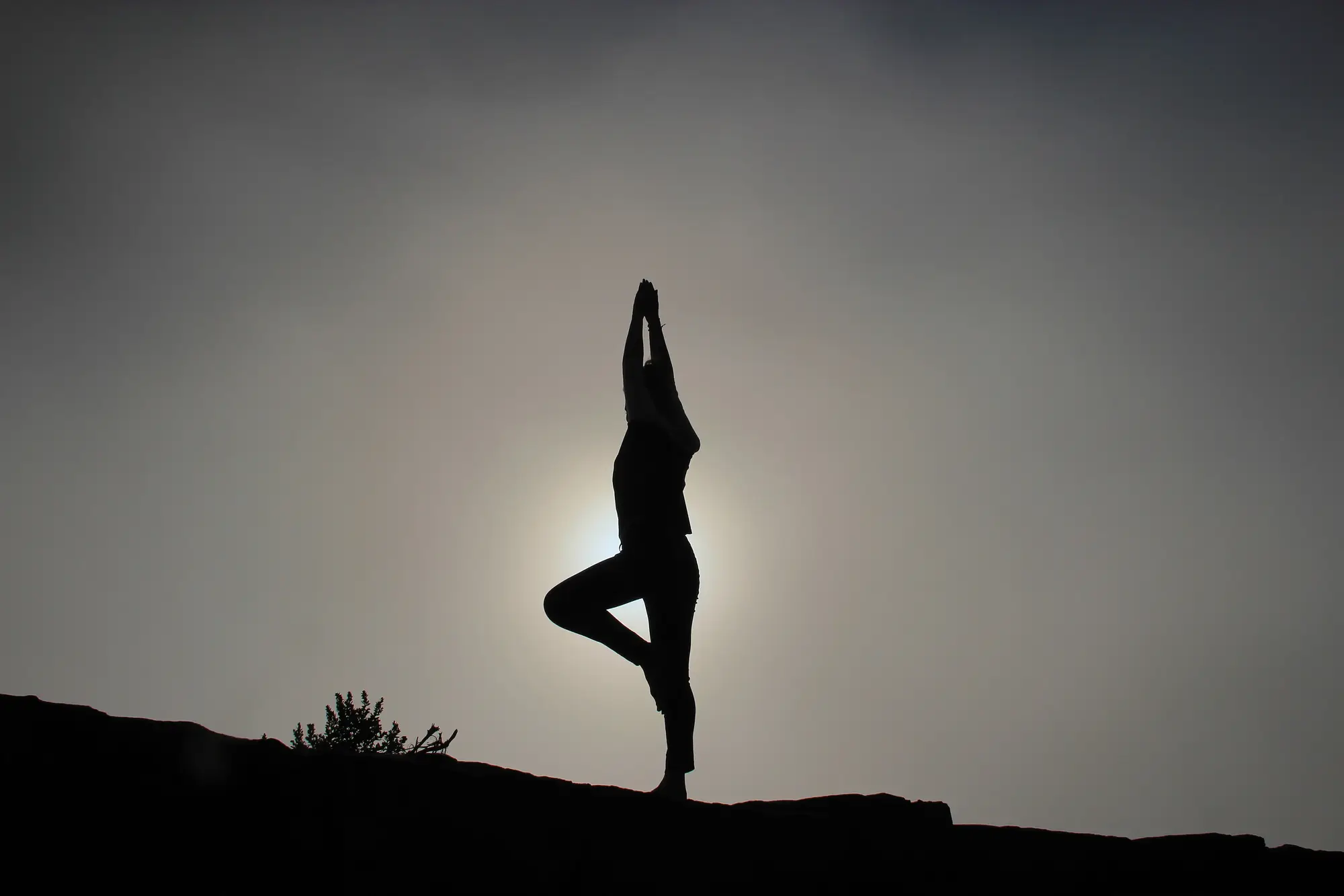 Silhouette of a person balancing in tree pose against a pale sky